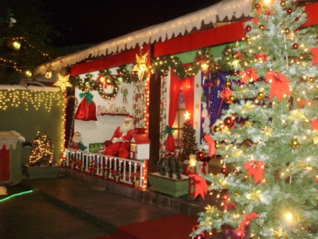 Decoração Natalina 450